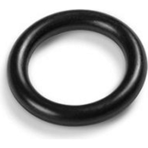 Intex Ersatzteile O-Ring Ventil