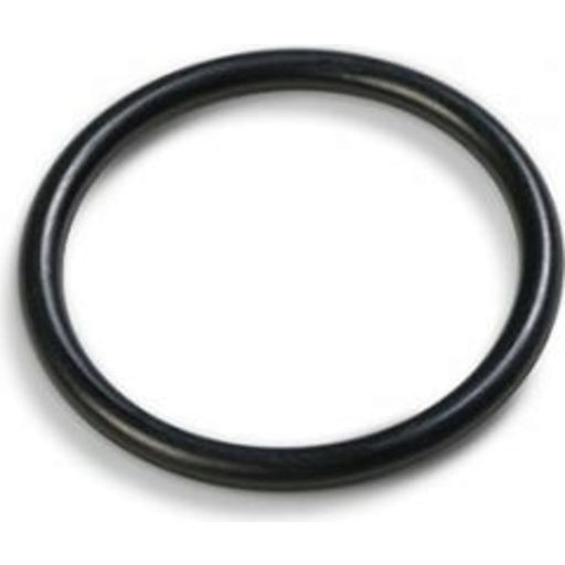 Intex Spare Parts O-Ring for Sand Filter Pump Motor - 1 item