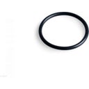 Intex Ersatzteile O-Ring für Sandfilterpumpenmotor - 1 Stk.