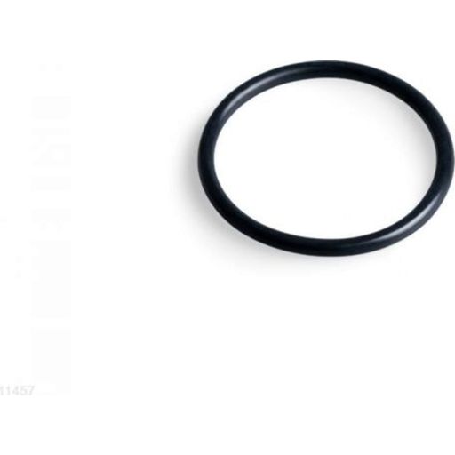 Intex Reserveonderdelen O-ring Voorfiltereenheid - 1 stuk