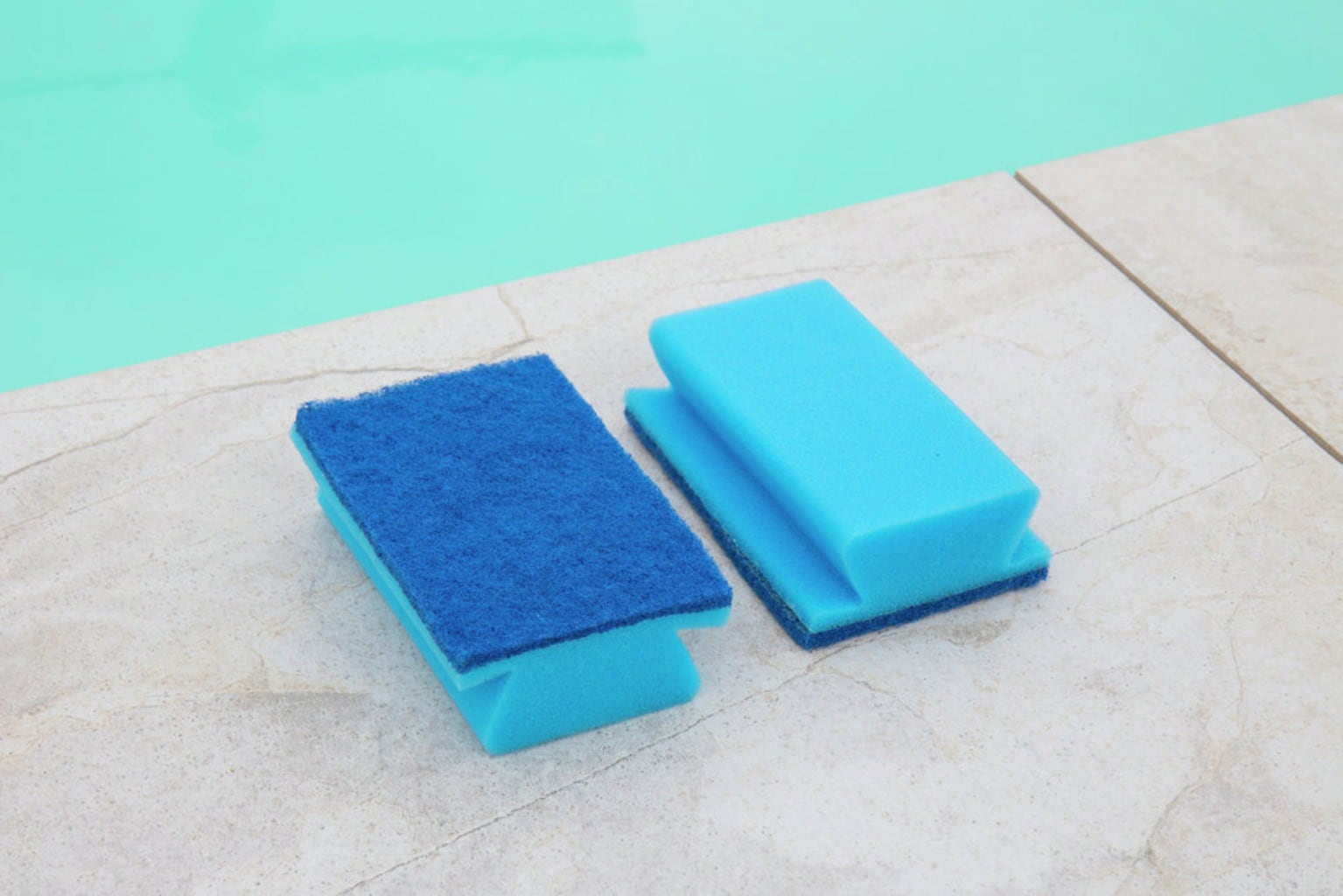 Steinbach Pool Professional Handschrubber im Doppelpack