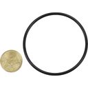 Intex Spare Parts O-Ring for Titanium Plates - 1 item