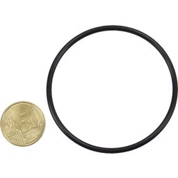 Intex Reserveonderdelen O-ring voor Titaniumplaten - 1 stuk