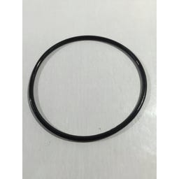 Intex Ersatzteile Sandfilteranlage Krystal Clear 4,7 m³ - (15) Blattfang Dichtung