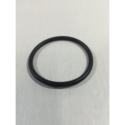 Intex Ersatzteile Sandfilteranlage Krystal Clear 4,7 m³ - (36) O-Ring für Sandfilterpumpenmotor