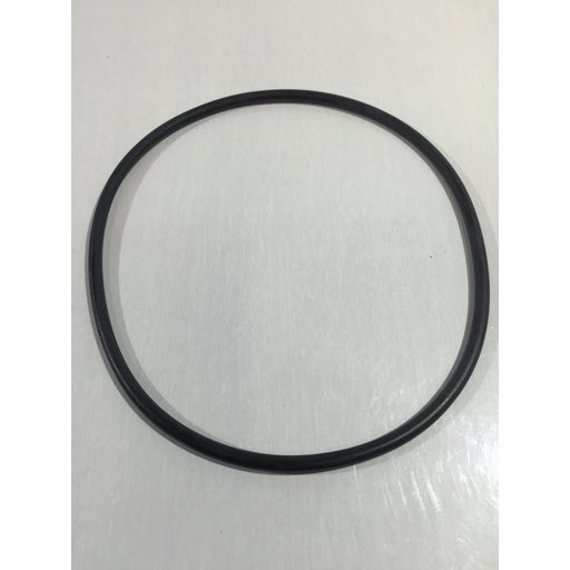 Sandfilteranlage Krystal Clear 6 m³ mit Salzwassersystem Modell ECO-15220 - (15) Blattfang-Dichtung