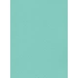Membrana Classic Standard Line SBG 150 - Turchese