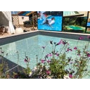 Supra Premium Line Pool Liner - Anthracite