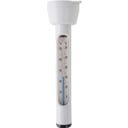 Intex Pool Thermometer