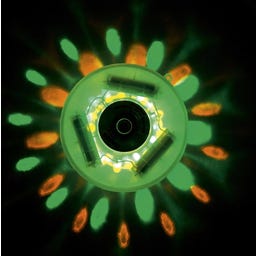 Bestway LED-Leuchte, batteriebetrieben