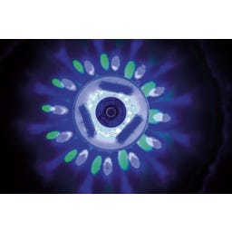 Bestway LED-Leuchte, batteriebetrieben