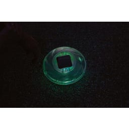 Bestway Solar LED-Poolleuchte