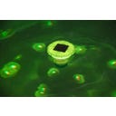 Bestway SolarGlow LED Dosierschwimmer