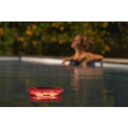 Bestway SolarGlow LED Dosierschwimmer