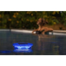 Bestway SolarGlow LED Dosierschwimmer