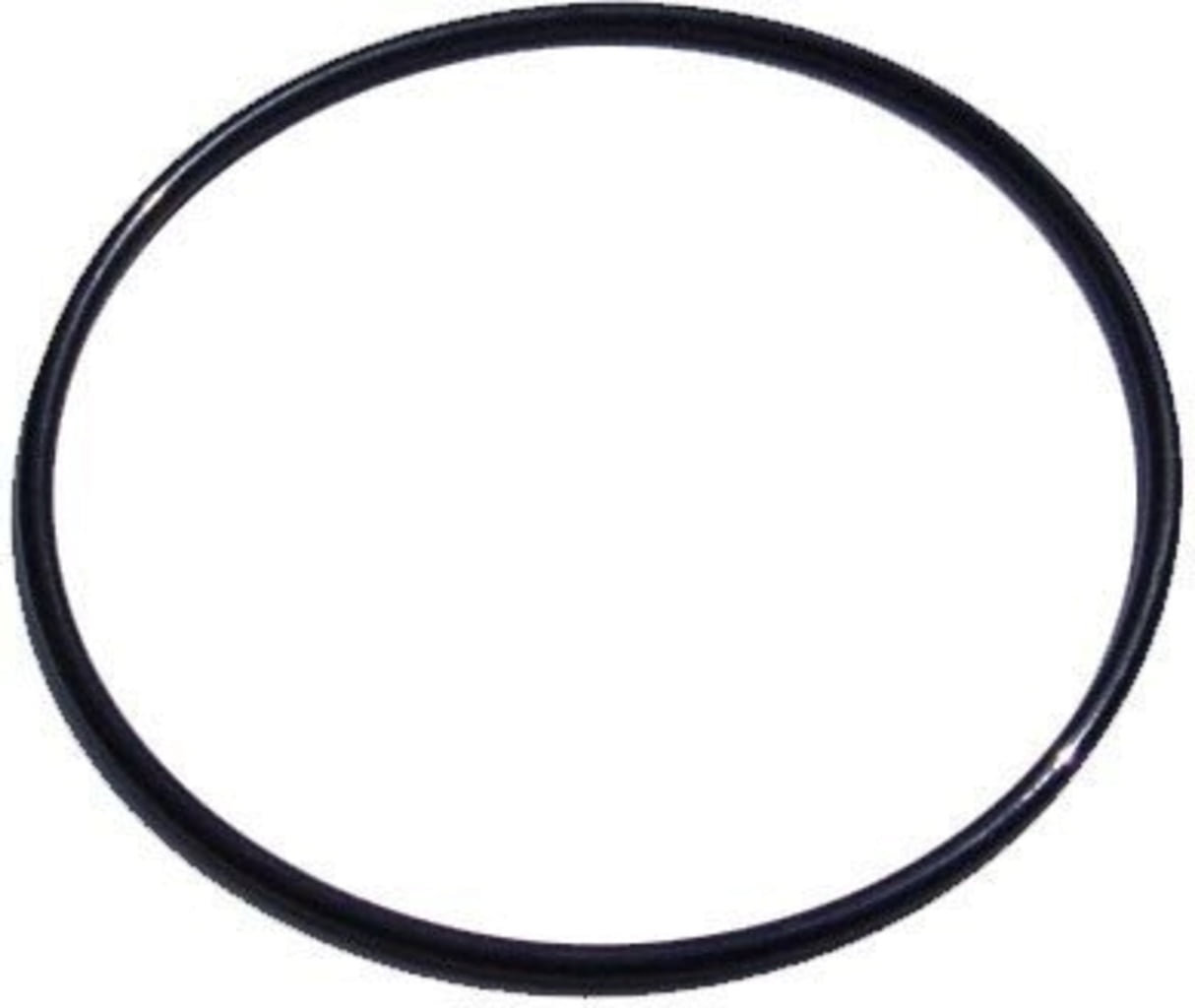 Ricambi Steinbach Pompa Filtro SPS