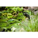 HEISSNER WiFi-Kamera Smart Garden Cam - 1 Stk.