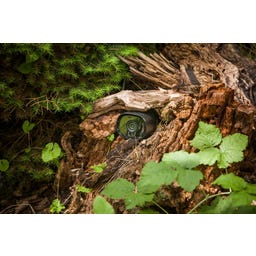 HEISSNER WiFi-Kamera Smart Garden Cam - 1 Stk.