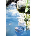 HEISSNER Standskimmer Profiline 35 x 35 x 83 cm - 1 Stk.