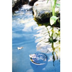 HEISSNER Standskimmer Profiline 35 x 35 x 83 cm - 1 Stk.