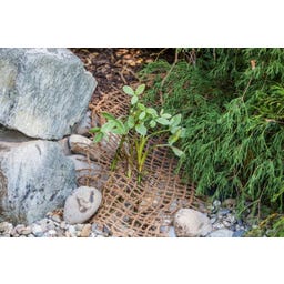 Heissner Oeverbeplantingsmat 50 x 1 m / 50 m² - 1 stuk