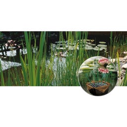 Heissner Plantenmand Waterlelies Rond - Ø 40 cm x 28 cm
