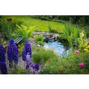 Laghetto Prefabbricato Effetto Naturale 124 x 90 x 58 cm - 250 l