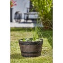 Heissner Zonne Watertuin Wooden Barrel - 40 x 40 x 27 cm