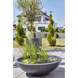 Heissner Zonne Watertuin Lotusgarden - 58 x 58 x 19 cm