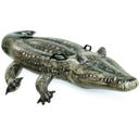 Intex Realistic Gator Ride-On - 1 Stk.