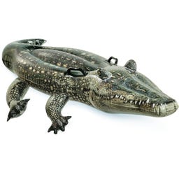 Intex Realistic Gator Ride-On - 1 Stk.