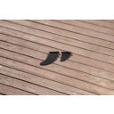 Kajak Set Hydro-Force™ Cove Champion™ X1 275 x 81 x 45 cm