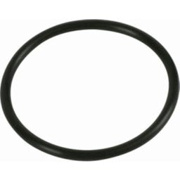 piese de schimb Intex Inel O pentru celulă electrolitică - 1 buc.