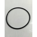 Intex Ersatzteile Whirlpool Pure-Spa Bubble & Jet - groß - O-Ring der Elektrolysezelle