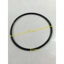 Intex Ersatzteile Whirlpool Pure-Spa Bubble & Jet - groß - O-Ring der Elektrolysezelle