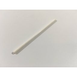 Intex Ersatzteile Whirlpool Pure-Spa Bubble & Jet - groß - Keramikstift ab 2013