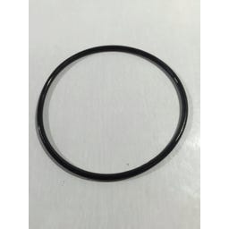 Intex Spare Parts Sand Filter Pump Krystal Clear 6m³ - (15) Leaf Catcher Seal