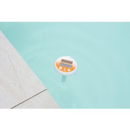 Steinbach Digital Solar Floating Thermometer - 1 item