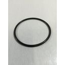 Intex Ersatzteile O-Ring (für Titanplatte)