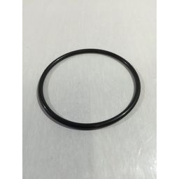 Intex Spare Parts O-Ring for Titanium Plate