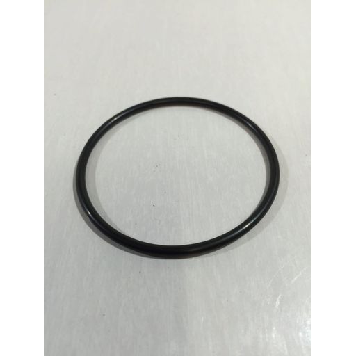 Intex Reserveonderdelen O-ring voor Titanium Plaat