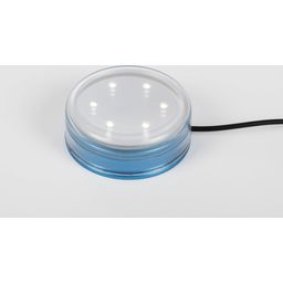 Steinbach Éclairage LED pour Piscine Hors-Sol - 