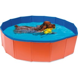 Croci Hunde Pool - 80x20 cm